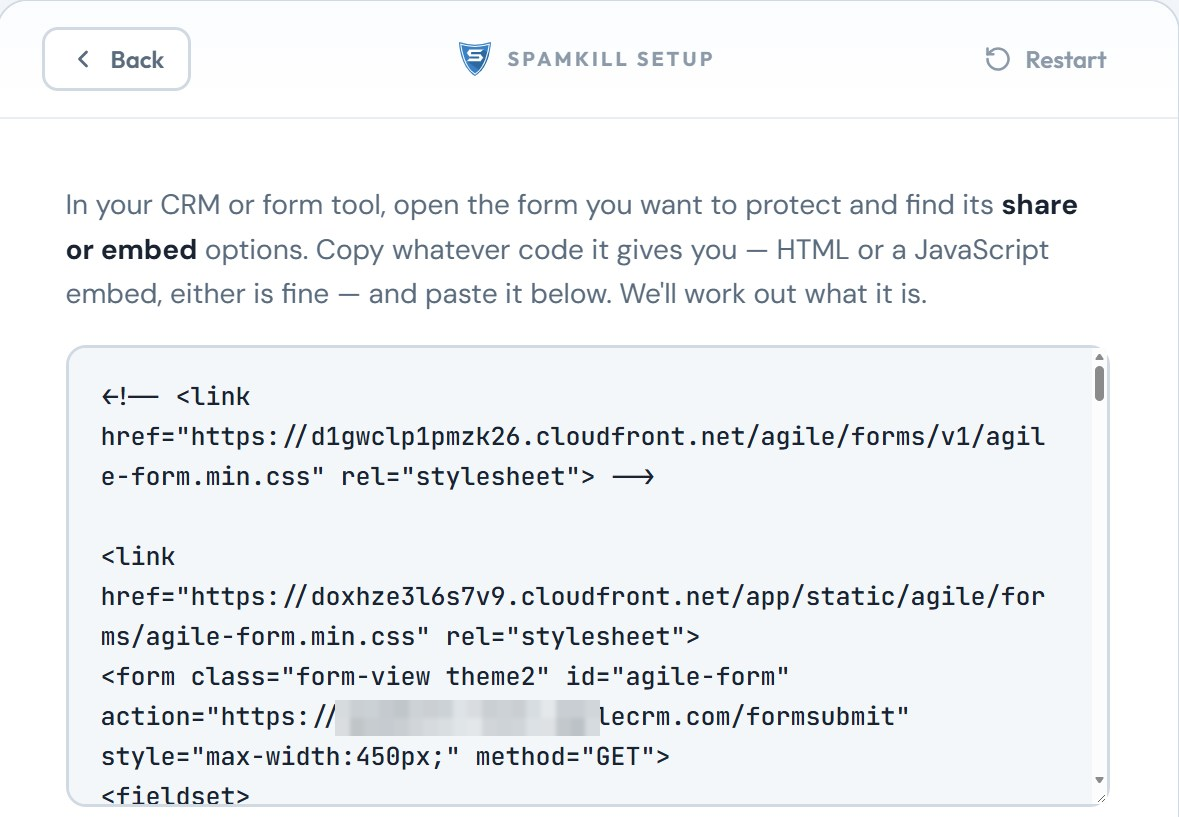 The Setup Wizard with Agile's form code pasted in the box