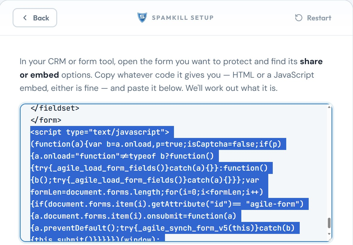 Agile's inline script selected at the end of the code in the Setup Wizard box, below </form>