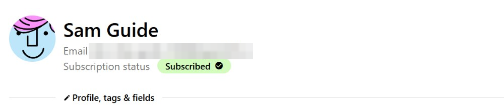 The new Drip person with the test name and Subscription status Subscribed