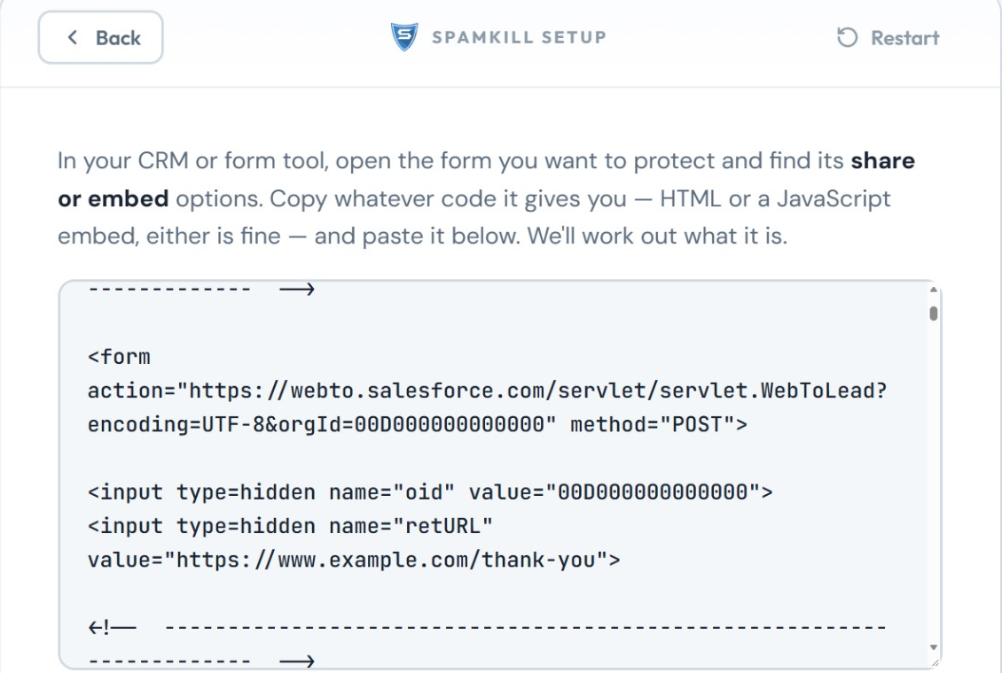 The Setup Wizard with Salesforce's Web-to-Lead code pasted in the box